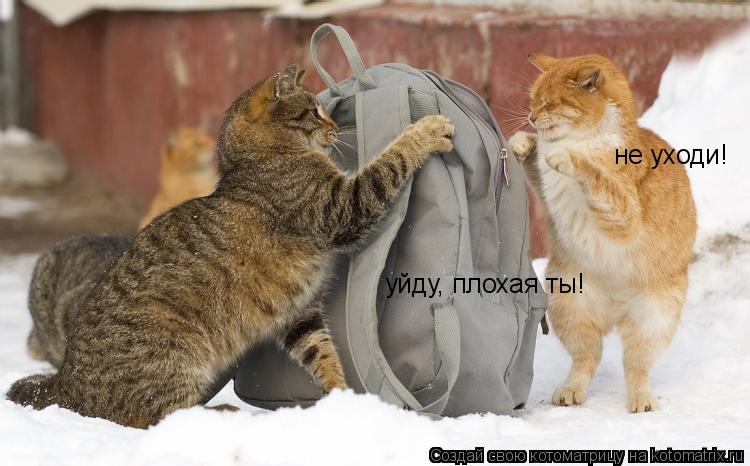 не уходи! не уходи! уйду, плохая ты! уйду, плохая ты!... Котоматрица: не уходи! не уходи! уйду, плохая ты! уйду, плохая ты!