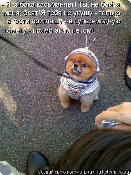 - Я сябака касьманявт! Ты, не бойся меня, брат!Я тебя не укушу - только в гости приглашу - в супер-мо... Котоматрица: - Я сябака касьманявт! Ты, не бойся меня, брат!Я тебя не укушу - только в гости приглашу - в супер-модную комету - прямо этим летом!