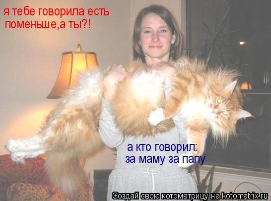 я тебе говорила есть поменьше,а ты?! а кто говорил: за маму за папу... Котоматрица: я тебе говорила есть поменьше,а ты?! а кто говорил: за маму за папу