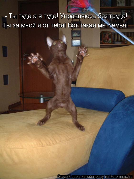 - Ты туда а я туда! Управляюсь без труда! Ты за мной я от тебя! Вот такая мы семья!... Котоматрица: - Ты туда а я туда! Управляюсь без труда! Ты за мной я от тебя! Вот такая мы семья!