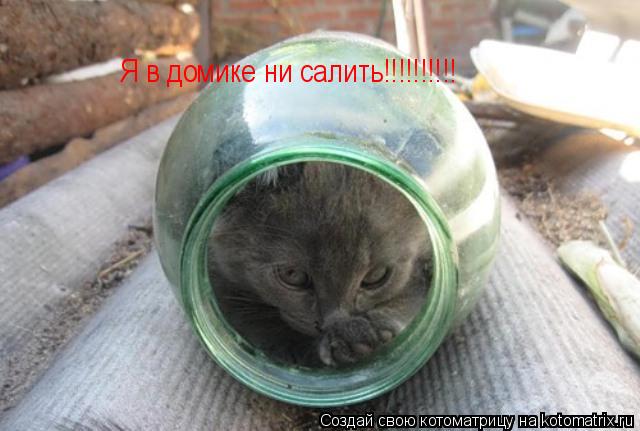 Я в домике ни салить!!!!!!!!!!... Котоматрица: Я в домике ни салить!!!!!!!!!!