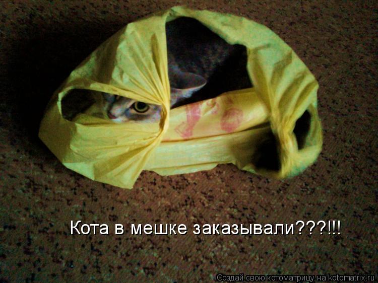 Кота в мешке заказывали???!!!... Котоматрица: Кота в мешке заказывали???!!!