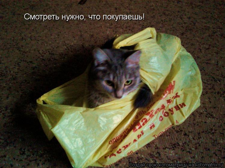 Смотреть нужно, что покупаешь!... Котоматрица: Смотреть нужно, что покупаешь!