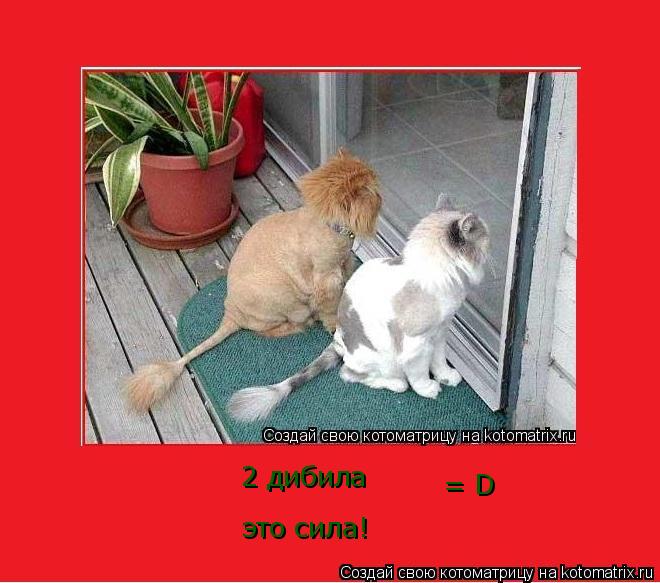 2 дибила это сила! = D... Котоматрица: 2 дибила это сила! = D