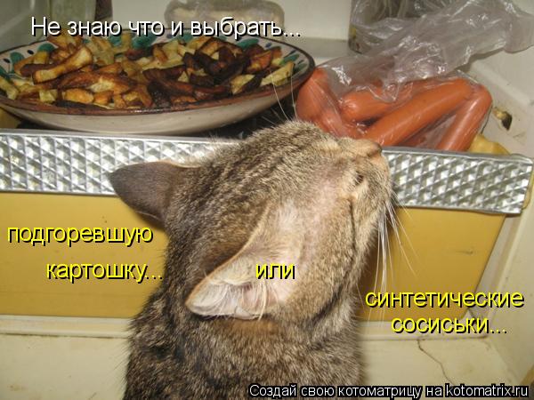 Не знаю что и выбрать... синтетические подгоревшую сосиськи... картошку... или... Котоматрица: Не знаю что и выбрать... синтетические подгоревшую сосиськи... картошку... или
