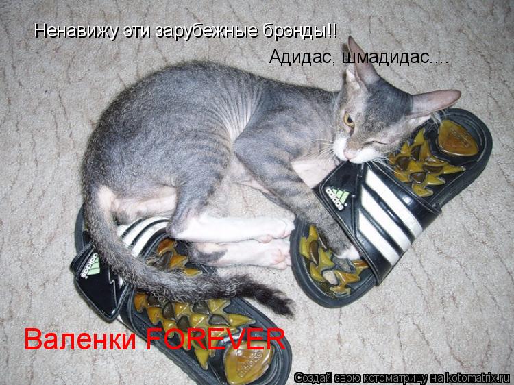 Ненавижу эти зарубежные брэнды!! Адидас, шмадидас.... Валенки FOREVER... Котоматрица: Ненавижу эти зарубежные брэнды!! Адидас, шмадидас.... Валенки FOREVER