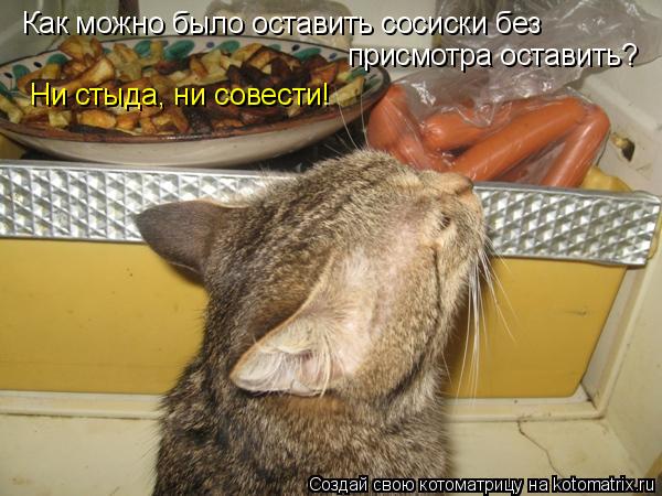 Как можно было оставить сосиски без присмотра оставить? Ни стыда, ни совести!... Котоматрица: Как можно было оставить сосиски без присмотра оставить? Ни стыда, ни совести!