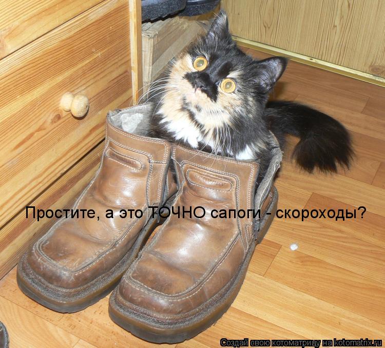 Простите, а это ТОЧНО сапоги - скороходы?... Котоматрица: Простите, а это ТОЧНО сапоги - скороходы?