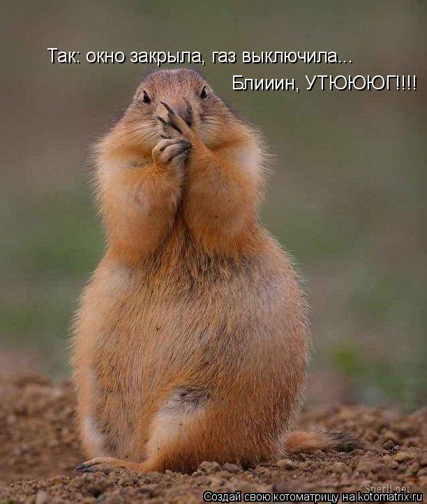 Так: окно закрыла, газ выключила... Блииин, УТЮЮЮГ!!!!... Котоматрица: Так: окно закрыла, газ выключила... Блииин, УТЮЮЮГ!!!!