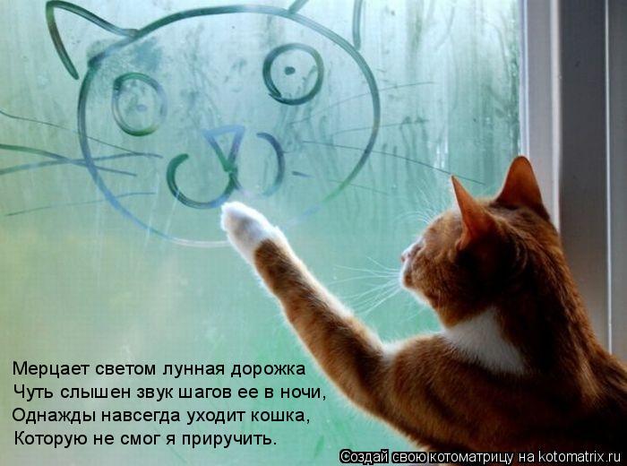 Однажды навсегда уходит кошка, Чуть слышен звук шагов ее в ночи, Мерцает светом лунная дорожка Кото... Котоматрица: Однажды навсегда уходит кошка, Чуть слышен звук шагов ее в ночи, Мерцает светом лунная дорожка Которую не смог я приручить.