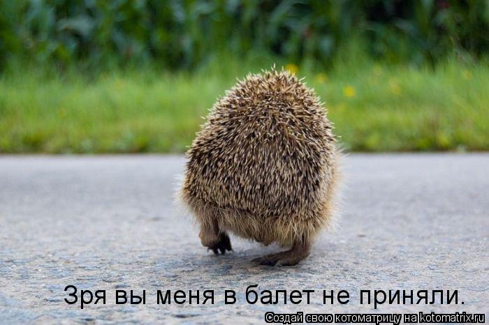 Зря вы меня в балет не приняли.... Котоматрица: Зря вы меня в балет не приняли.