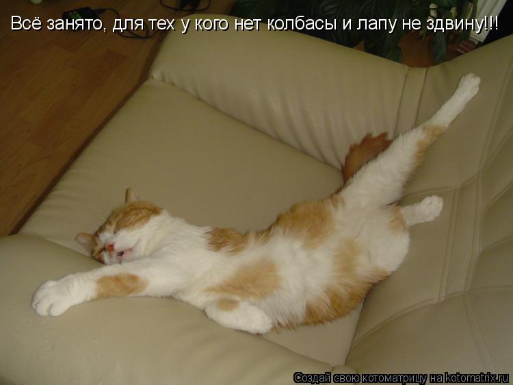 Всё занято, для тех у кого нет колбасы и лапу не здвину!!!... Котоматрица: Всё занято, для тех у кого нет колбасы и лапу не здвину!!!