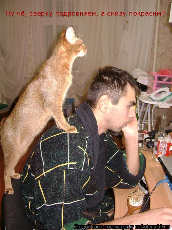 Ну чё, сверху подровняем, а снизу покрасим? Ну чё, сверху подровняем, а снизу покрасим?... Котоматрица: Ну чё, сверху подровняем, а снизу покрасим? Ну чё, сверху подровняем, а снизу покрасим?