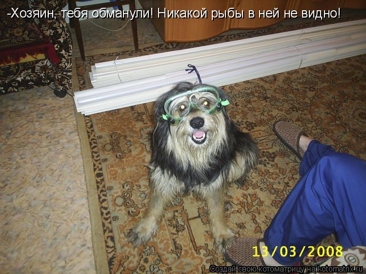 -Хозяин, тебя обманули! Никакой рыбы в ней не видно!... Котоматрица: -Хозяин, тебя обманули! Никакой рыбы в ней не видно!