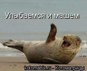 Улыбаемся и машем... Котоматрица: Улыбаемся и машем