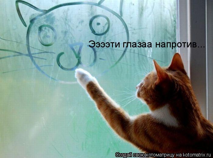 Ээээти глазаа напротив...... Котоматрица: Ээээти глазаа напротив...