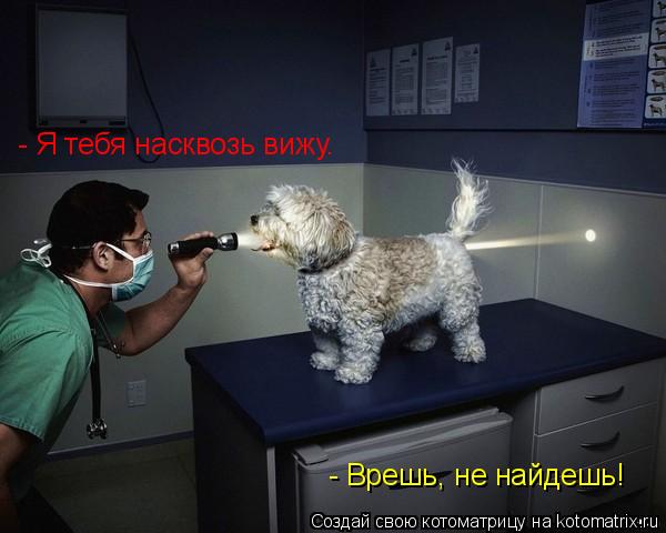 - Я тебя насквозь вижу. - Врешь, не найдешь!... Котоматрица: - Я тебя насквозь вижу. - Врешь, не найдешь!