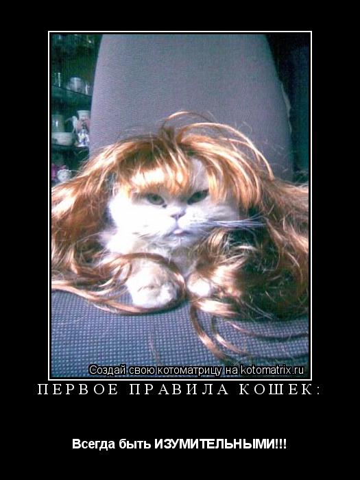 Первое правила кошек: Всегда быть ИЗУМИТЕЛЬНЫМИ!!!... Котоматрица: Первое правила кошек: Всегда быть ИЗУМИТЕЛЬНЫМИ!!!