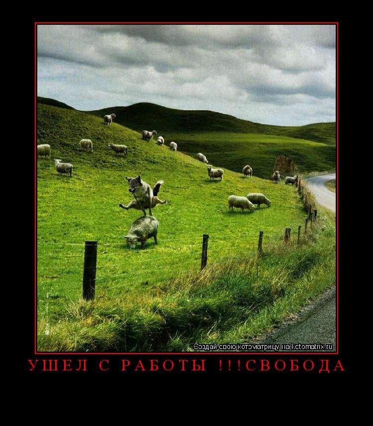 ушел с работы !!!свобода ... Котоматрица: ушел с работы !!!свобода