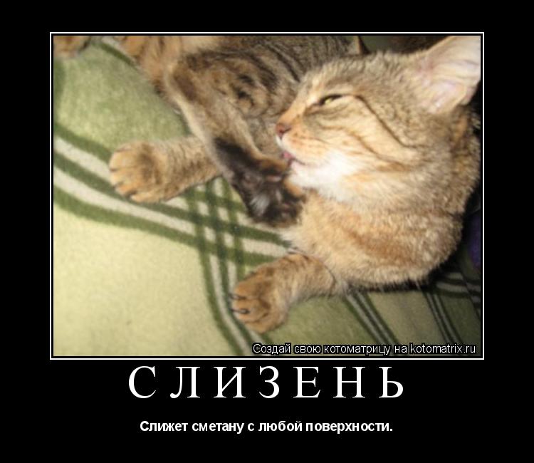СЛИЗЕНЬ Слижет сметану с любой поверхности.... Котоматрица: СЛИЗЕНЬ Слижет сметану с любой поверхности.