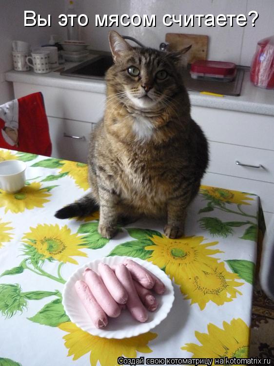 Вы это мясом считаете?... Котоматрица: Вы это мясом считаете?