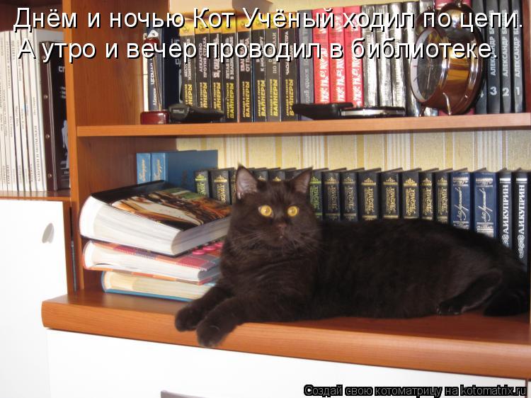 Днём и ночью Кот Учёный ходил по цепи. А утро и вечер проводил в библиотеке.... Котоматрица: Днём и ночью Кот Учёный ходил по цепи. А утро и вечер проводил в библиотеке.