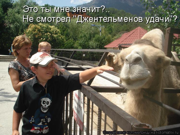 Не смотрел "Джентельменов удачи"? Это ты мне значит?..... Котоматрица: Не смотрел "Джентельменов удачи"? Это ты мне значит?..