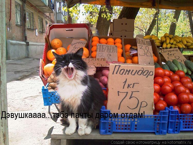 Дэвушкаааа...тэбэ пачты даром отдам!... Котоматрица: Дэвушкаааа...тэбэ пачты даром отдам!