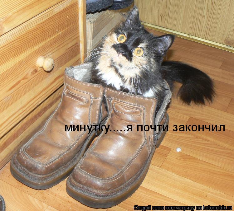 минутку.....я почти закончил... Котоматрица: минутку.....я почти закончил