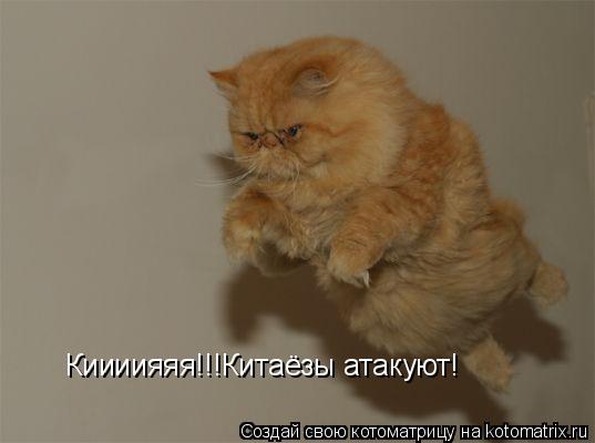 Киииияяя!!!Китаёзы атакуют!... Котоматрица: Киииияяя!!!Китаёзы атакуют!