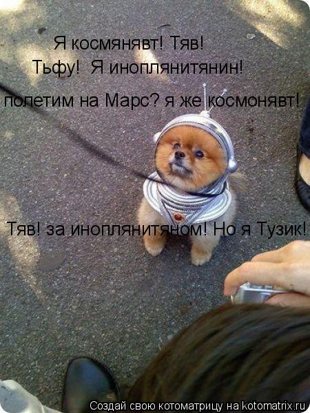 Я космянявт! Тяв! Тьфу! Я иноплянитянин! полетим на Марс? я же космонявт! Тяв! за иноплянитяном! Но ... Котоматрица: Я космянявт! Тяв! Тьфу! Я иноплянитянин! полетим на Марс? я же космонявт! Тяв! за иноплянитяном! Но я Тузик!