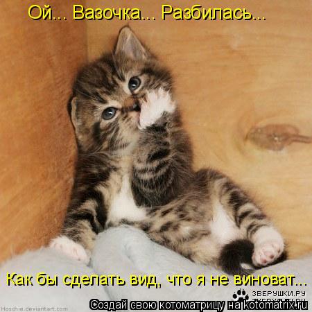 Ой... Вазочка... Разбилась... Как бы сделать вид, что я не виноват...... Котоматрица: Ой... Вазочка... Разбилась... Как бы сделать вид, что я не виноват...