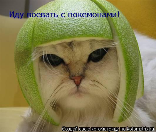 Иду воевать с покемонами!... Котоматрица: Иду воевать с покемонами!