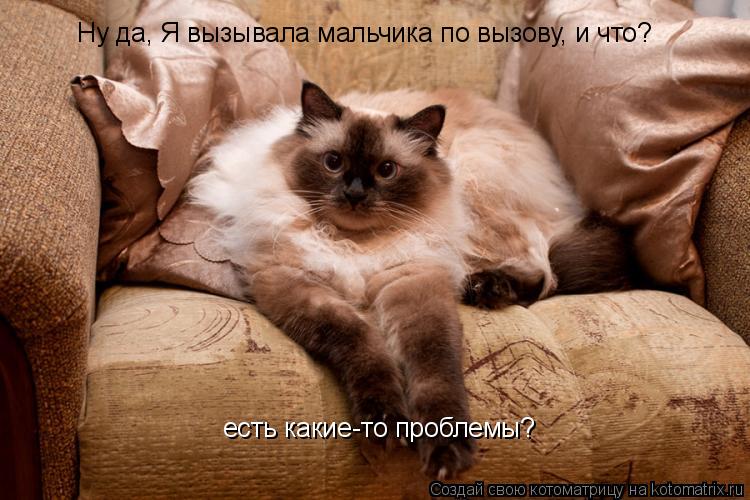 Ну да, Я вызывала мальчика по вызову, и что? есть какие-то проблемы?... Котоматрица: Ну да, Я вызывала мальчика по вызову, и что? есть какие-то проблемы?