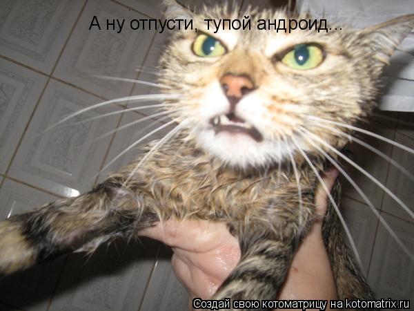 А ну отпусти, тупой андроид...... Котоматрица: А ну отпусти, тупой андроид...