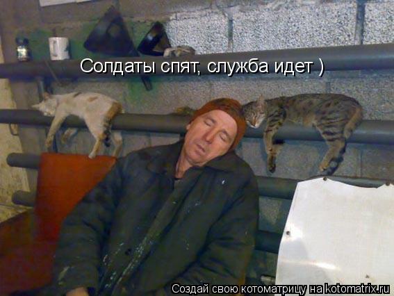 Солдаты спят, служба идет )... Котоматрица: Солдаты спят, служба идет )