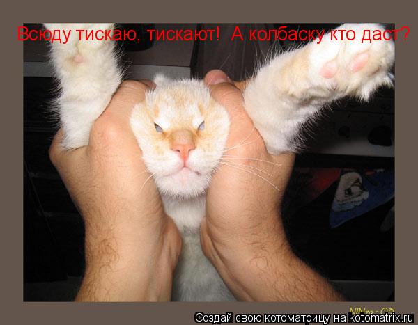 Всюду тискаю, тискают! А колбаску кто даст?... Котоматрица: Всюду тискаю, тискают! А колбаску кто даст?