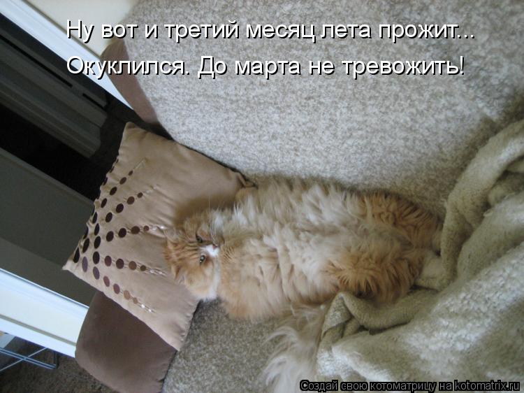 Ну вот и третий месяц лета прожит... Окуклился. До марта не тревожить!... Котоматрица: Ну вот и третий месяц лета прожит... Окуклился. До марта не тревожить!