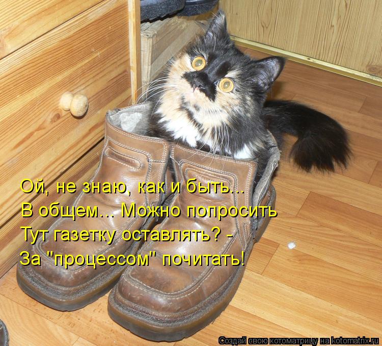 Ой, не знаю, как и быть... В общем... Можно попросить Тут газетку оставлять? - За "процессом" почитат... Котоматрица: Ой, не знаю, как и быть... В общем... Можно попросить Тут газетку оставлять? - За "процессом" почитать!