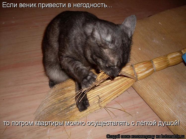 Если веник привести в негодность... то погром квартиры можно осуществлять с лёгкой душой!... Котоматрица: Если веник привести в негодность... то погром квартиры можно осуществлять с лёгкой душой!