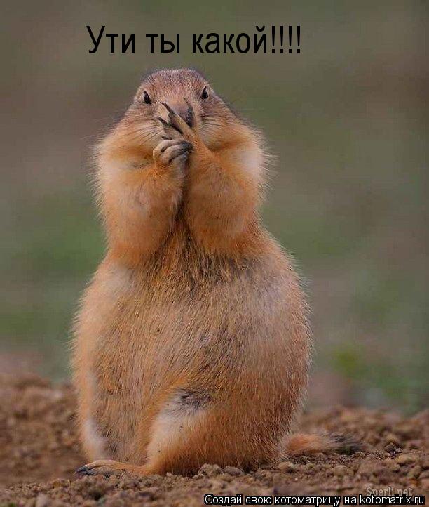 Ути ты какой!!!!... Котоматрица: Ути ты какой!!!!
