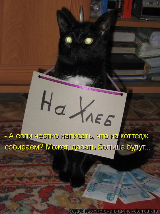 - А если честно написать, что на коттедж собираем? Может, давать больше будут...... Котоматрица: - А если честно написать, что на коттедж собираем? Может, давать больше будут...