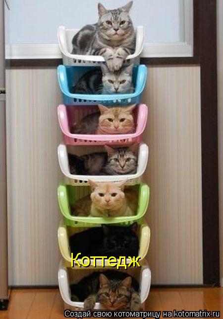 Коттедж... Котоматрица: Коттедж