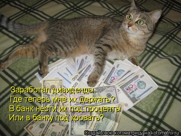 Заработал дивиденды. Где теперь мне их держать? В банк нести их под проценты Или в банку под кровать?... Котоматрица: Заработал дивиденды. Где теперь мне их держать? В банк нести их под проценты Или в банку под кровать?