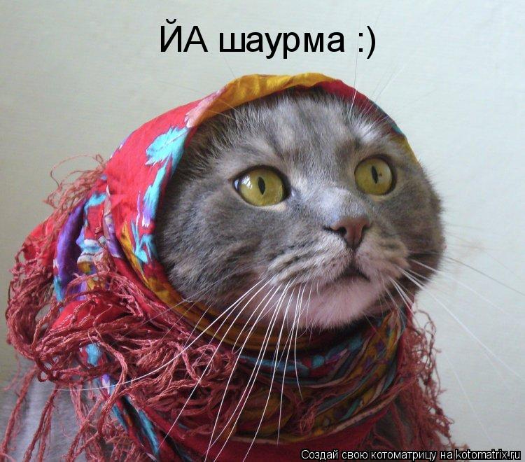 ЙА шаурма :)... Котоматрица: ЙА шаурма :)