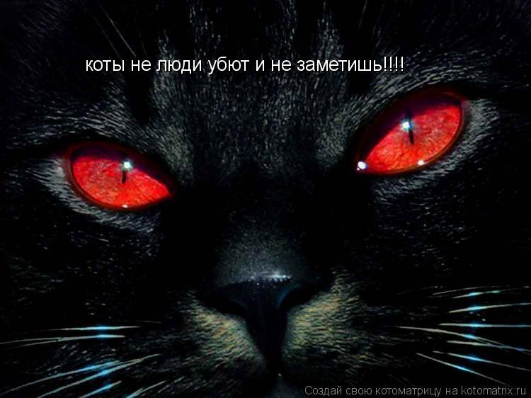 коты не люди убют и не заметишь!!!!... Котоматрица: коты не люди убют и не заметишь!!!!