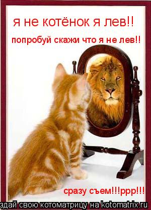 я не котёнок я лев!! попробуй скажи что я не лев!! сразу съем!!!ррр!!!... Котоматрица: я не котёнок я лев!! попробуй скажи что я не лев!! сразу съем!!!ррр!!!
