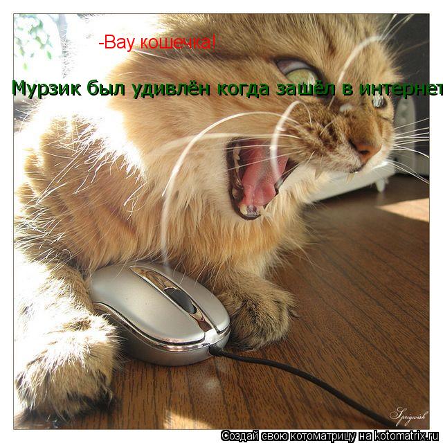 -Вау кошечка! Мурзик был удивлён когда зашёл в интернет. Мурзик был удивлён когда зашёл в интернет.... Котоматрица: -Вау кошечка! Мурзик был удивлён когда зашёл в интернет. Мурзик был удивлён когда зашёл в интернет.