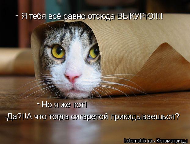 Я тебя всё равно отсюда ВЫКУРЮ!!!! Но я же кот! - - -Да?!!А что тогда сигаретой прикидываешься?... Котоматрица: Я тебя всё равно отсюда ВЫКУРЮ!!!! Но я же кот! - - -Да?!!А что тогда сигаретой прикидываешься?
