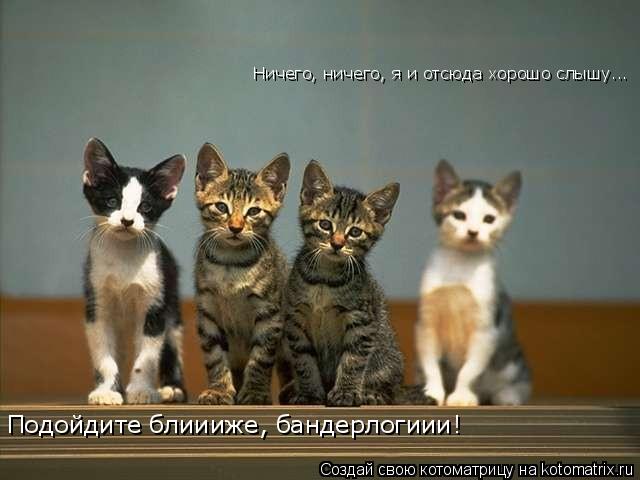 Подойдите блиииже, бандерлогиии! Ничего, ничего, я и отсюда хорошо слышу... Ничего, ничего, я и отсюд... Котоматрица: Подойдите блиииже, бандерлогиии! Ничего, ничего, я и отсюда хорошо слышу... Ничего, ничего, я и отсюда хорошо слышу...